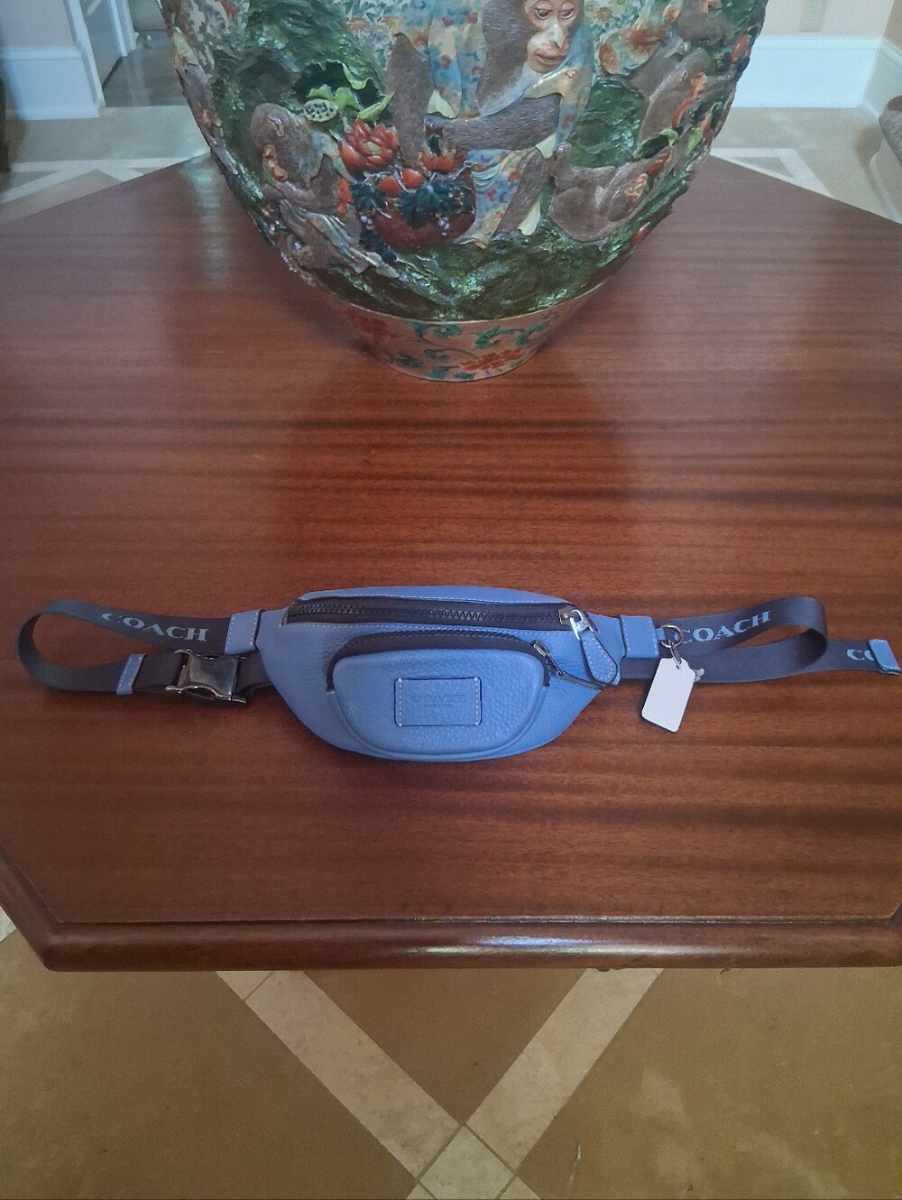 Coach CE649 Sprint Belt Bag Sky Blue - Picture 3 of 11